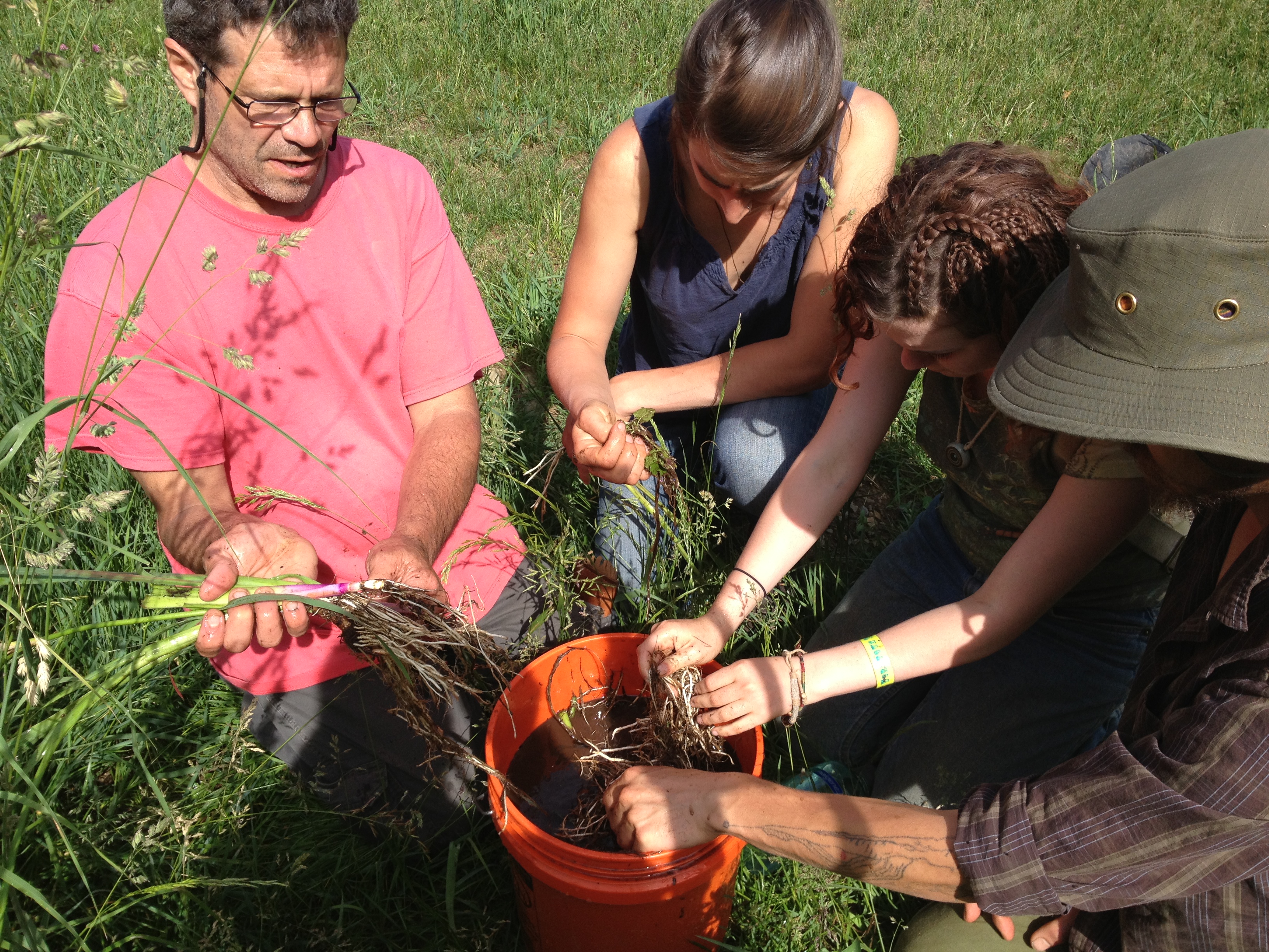 herbalist course and herbal workshops outdoors