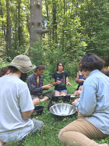 Herbal medicine school involves garbling
