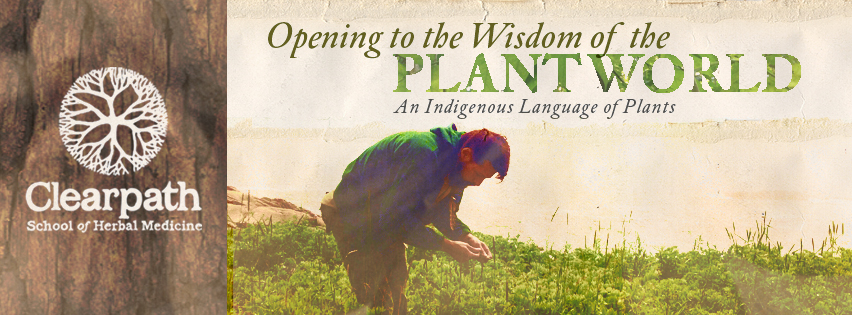 clearpath_spring2015openingwisdom_FBheaderv4